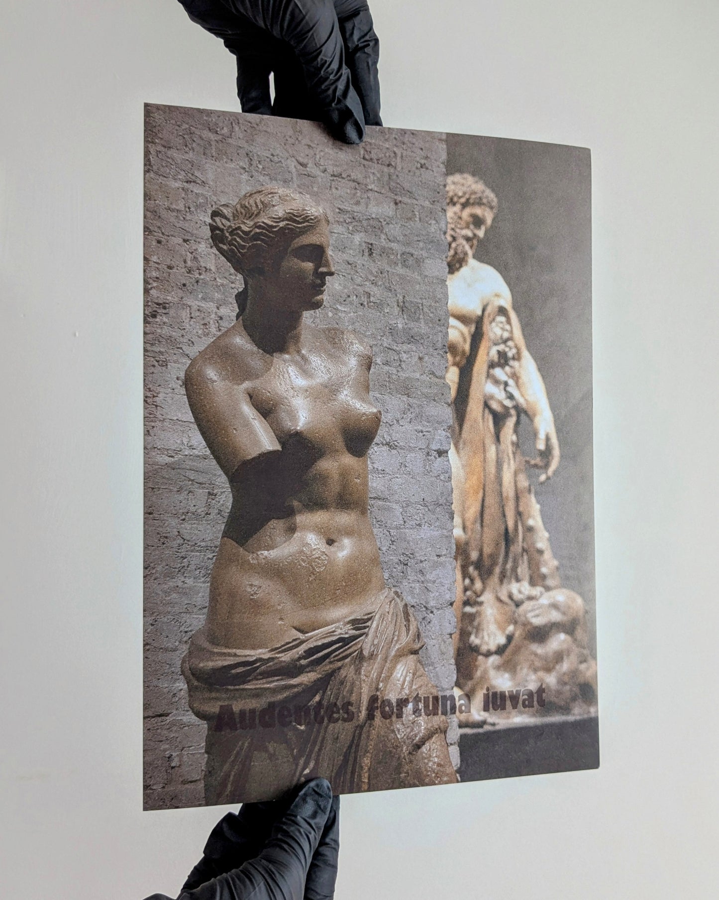 'Untitled' - A4 - Greg Tallent - Art print