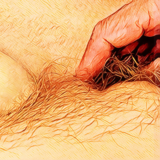 Dan Younger - Untitled - Digital Image/print
